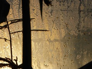 Tunnel Vision image K. var. dimentions, photography, 2013 annabel konig