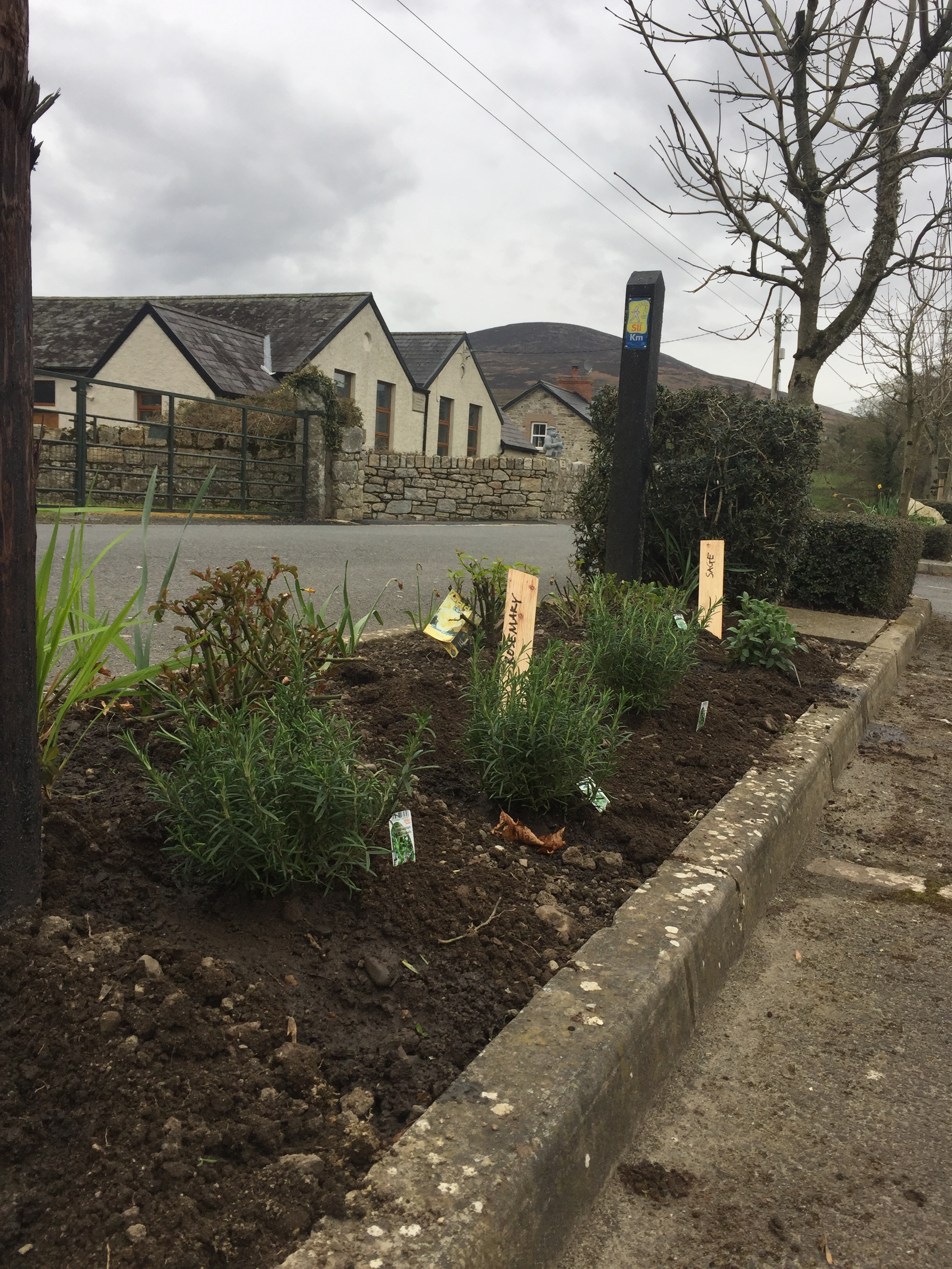 rosemary, Sage n Thyme