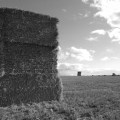 haybale-sculpture-