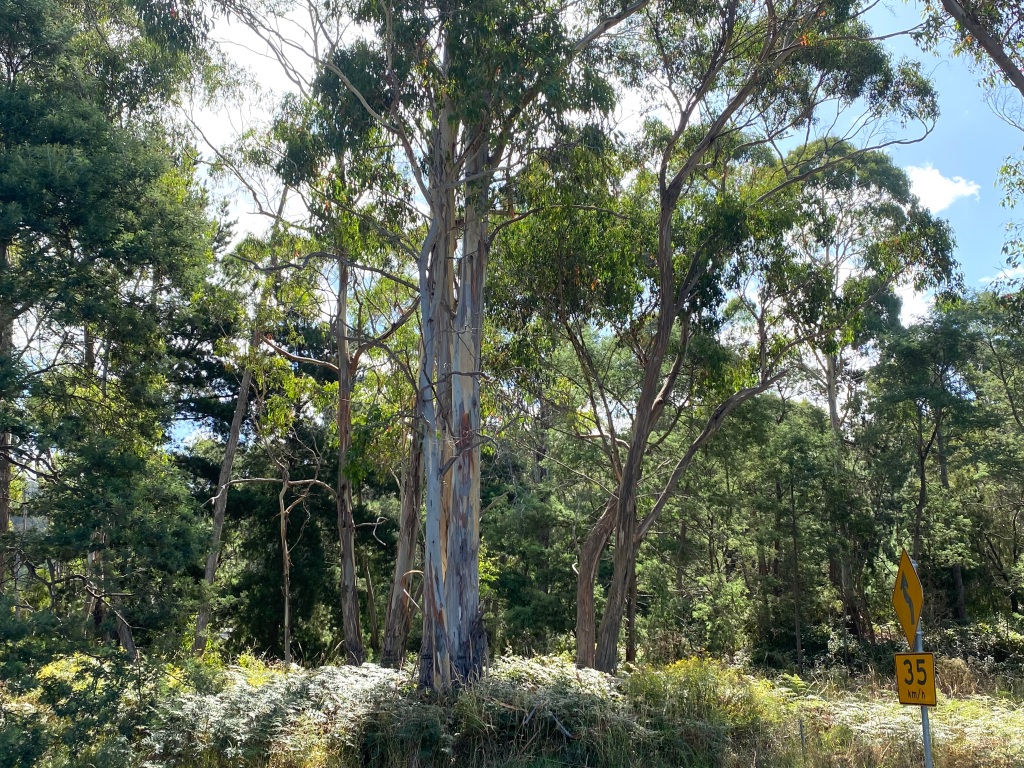 This image has an empty alt attribute; its file name is img-0274.jpg