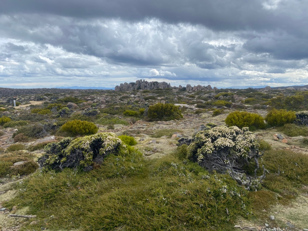 This image has an empty alt attribute; its file name is img-0375.jpg