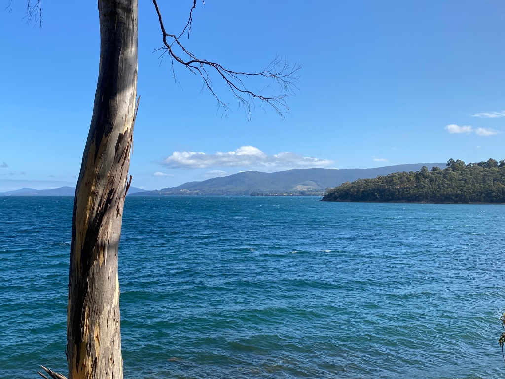 This image has an empty alt attribute; its file name is img_0278.jpeg