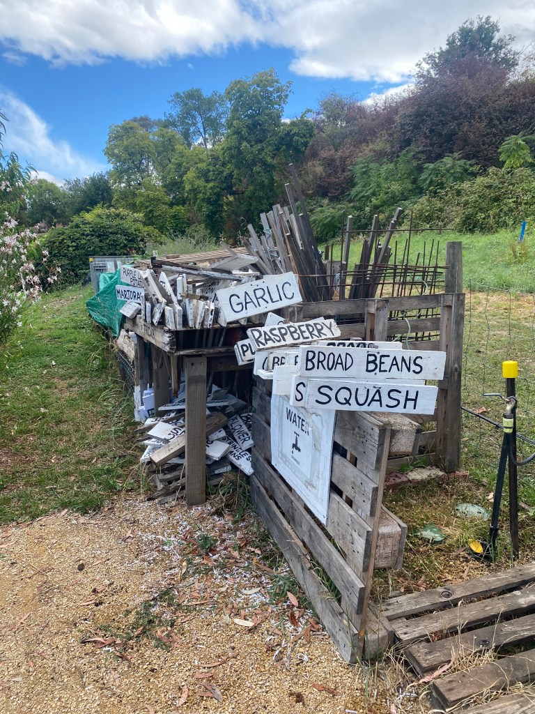 The current image has no alternative text. The file name is: img_0899.jpg